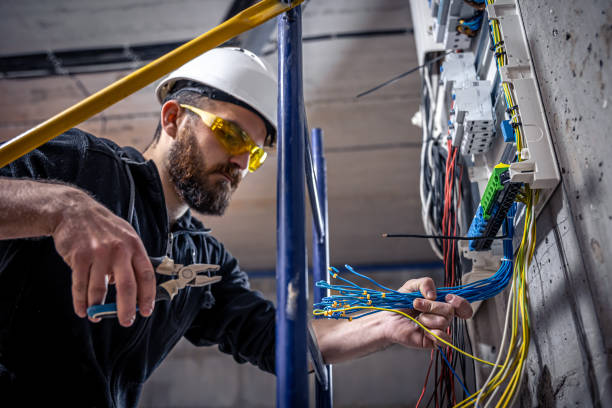 Best Electric Panel Repair  in Omao, HI